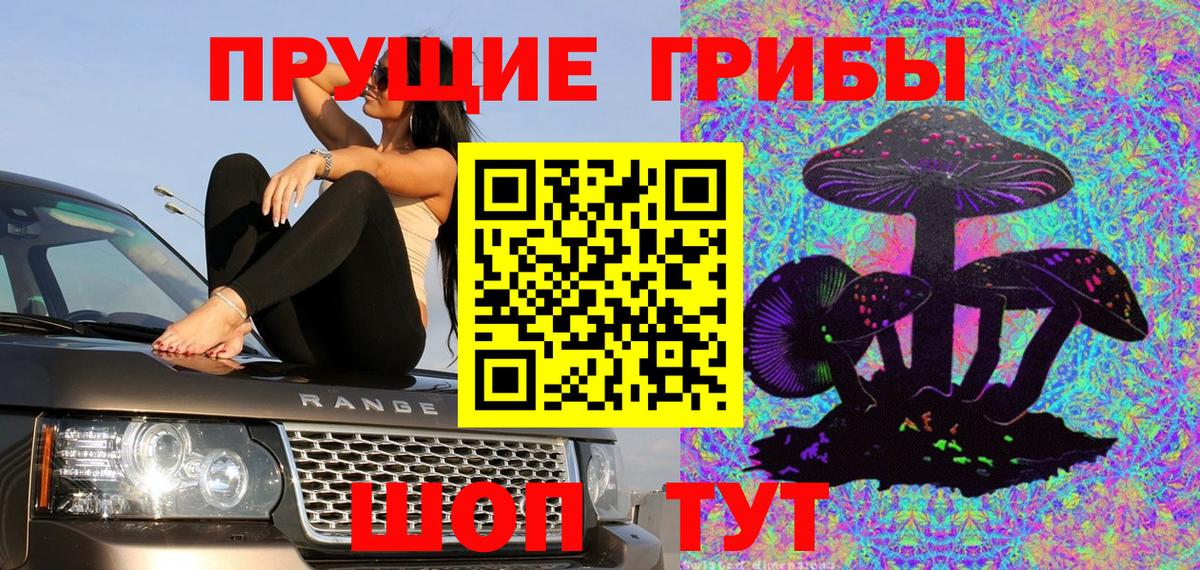 Псилоцибиновые грибы Psilocybe  Вход с VPN  Зима  Галлюциногенные грибы прущие грибы 
