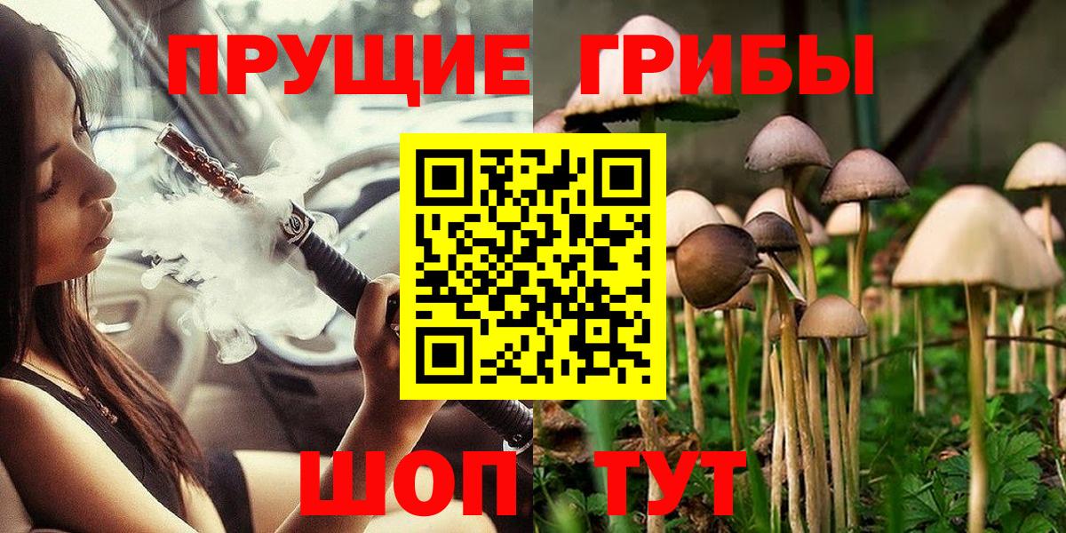 Псилоцибиновые грибы прущие грибы Зима